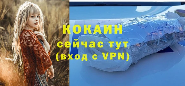 соль ск Липки