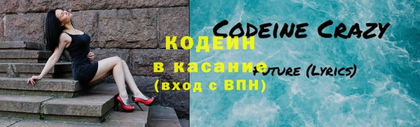 хмурый Лиски