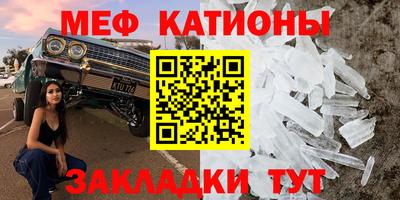 прущие грибы Комсомольск-на-Амуре