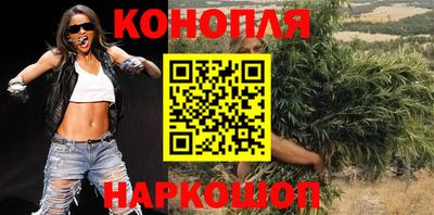 прущие грибы Комсомольск-на-Амуре