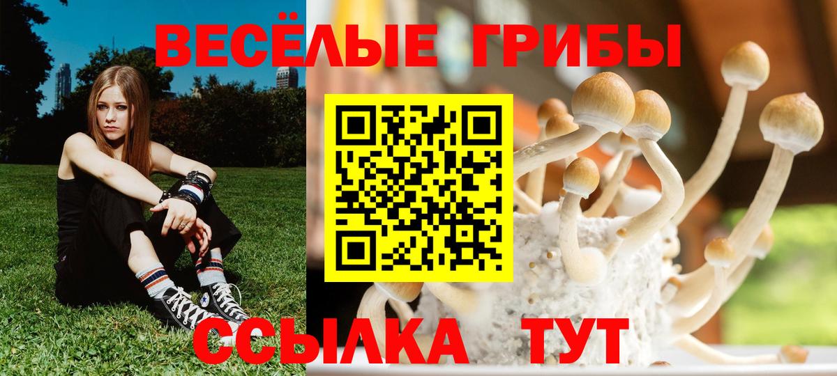 Галлюциногенные грибы Cubensis Энгельс