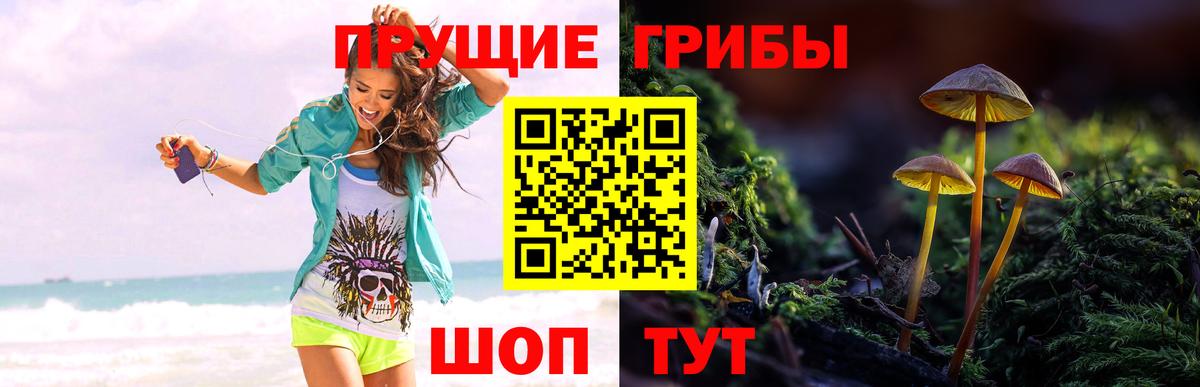 Псилоцибиновые грибы Psilocybine cubensis  Вход с VPN  Энгельс 